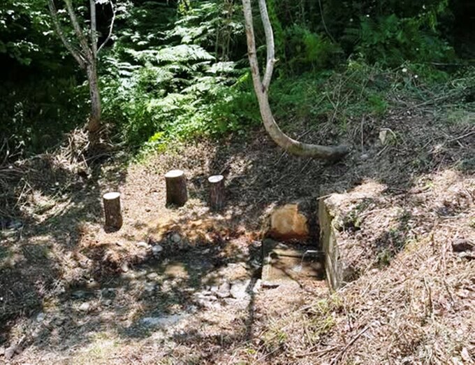 Φωτογραφία Καθαρισμός της Πηγής «Κιούγκι Βερμίου» – Ένα βήμα για την προστασία των φυσικών μας πόρων